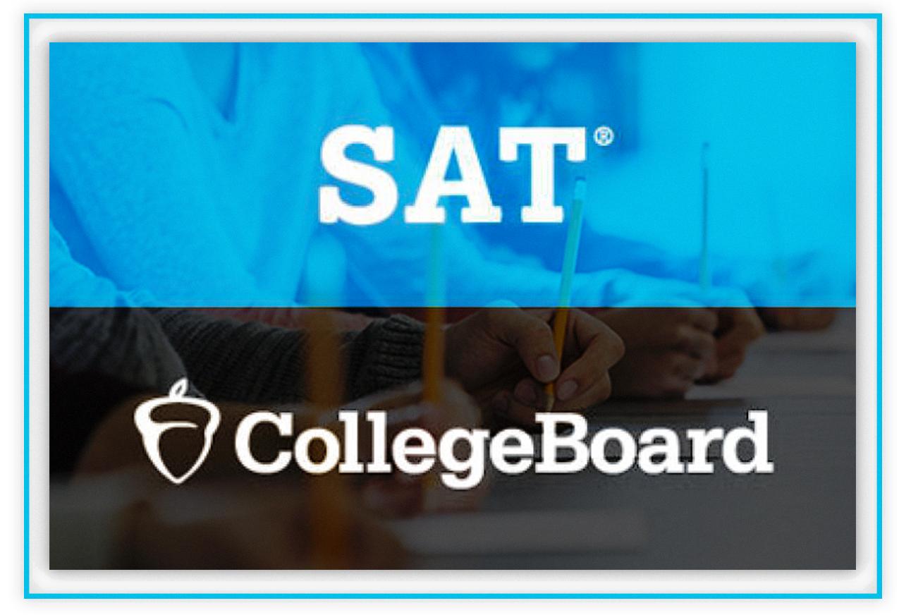 contact college board