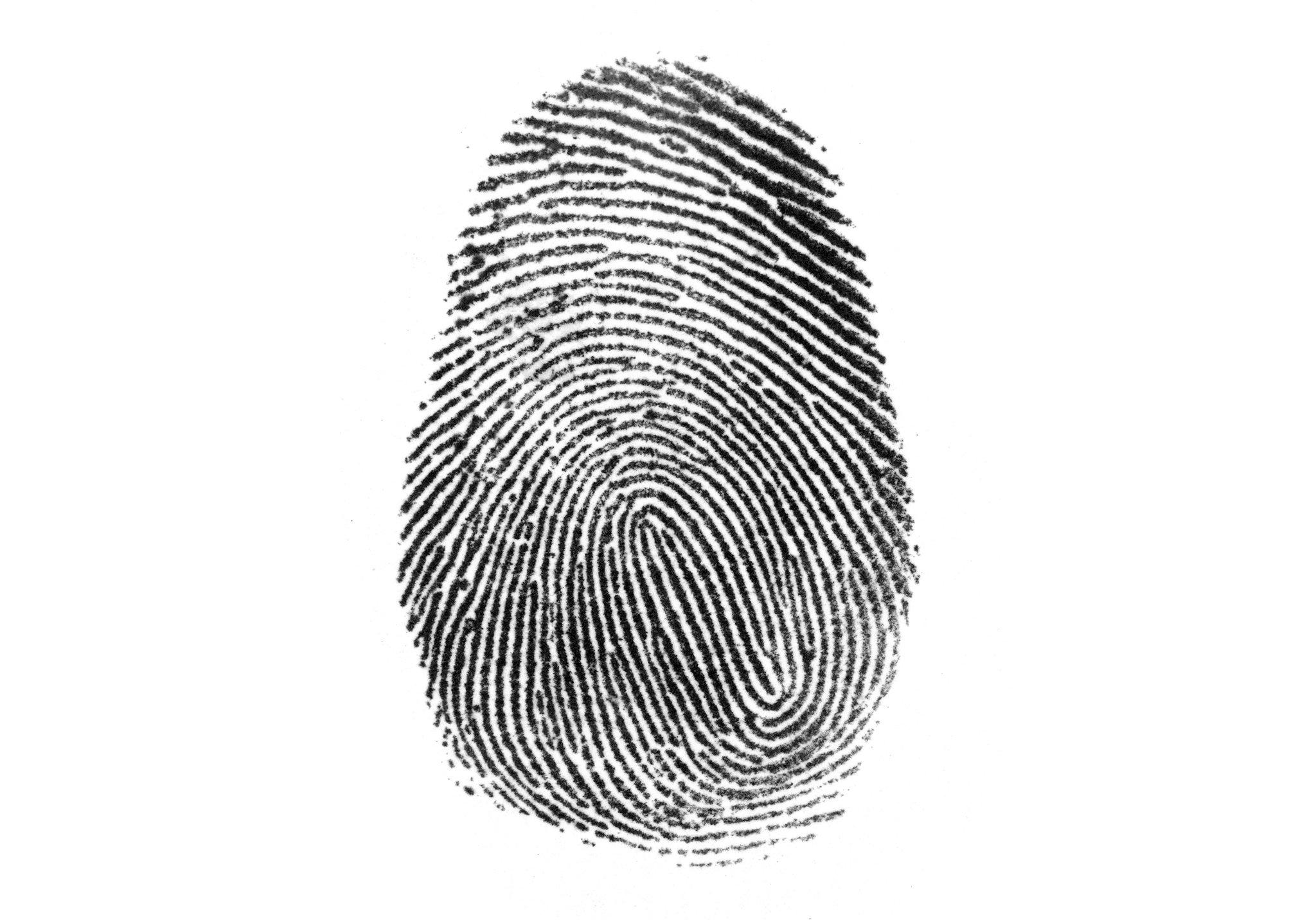 delta fingerprint