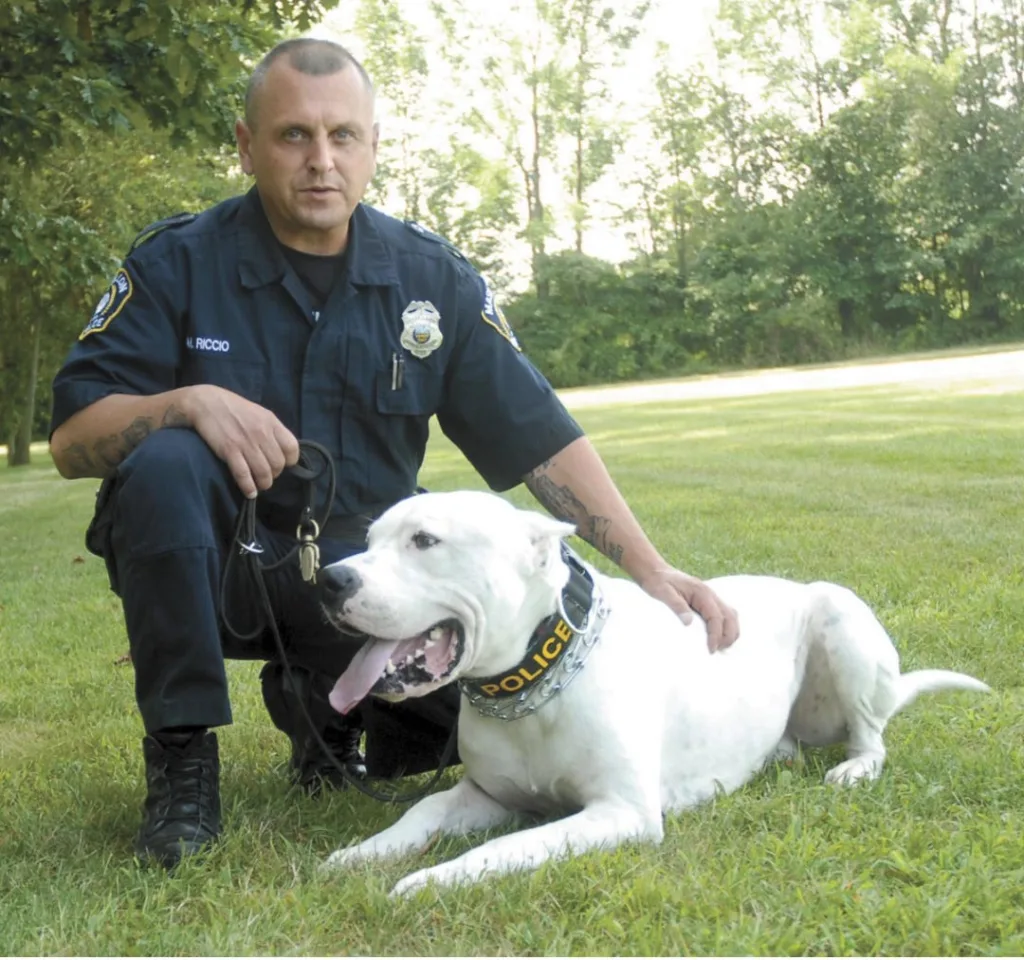 dogo argentino police dog 1673424595