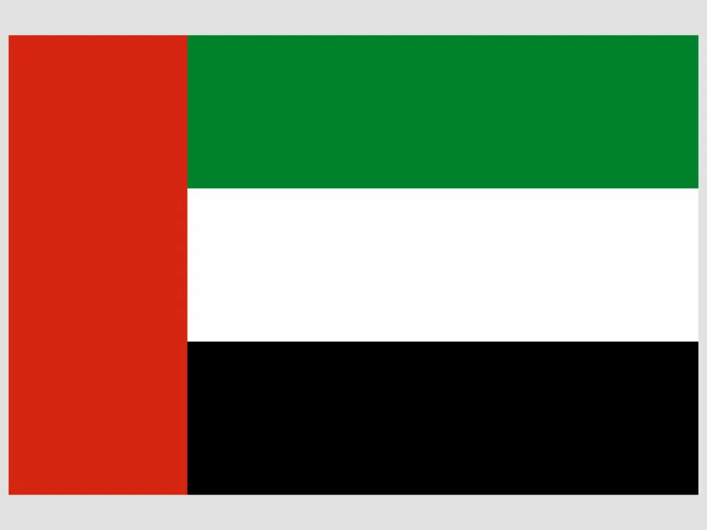 flag black green and white 1674286691