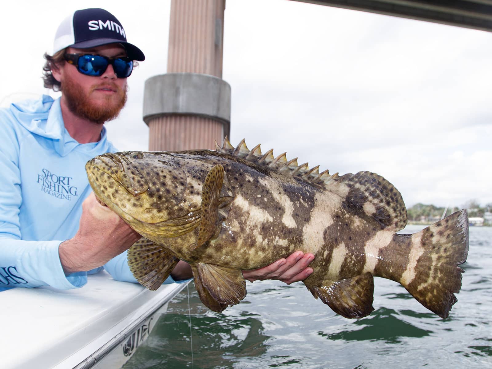 Enjoying the Sweet Flavor of Goliath Grouper