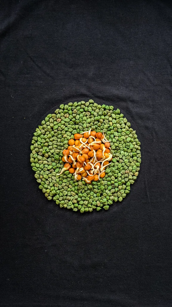 lentil 1672905698