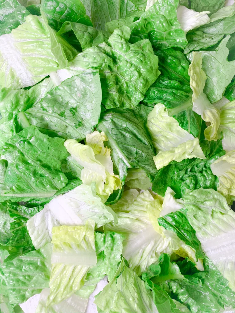 lettuce 1674919459
