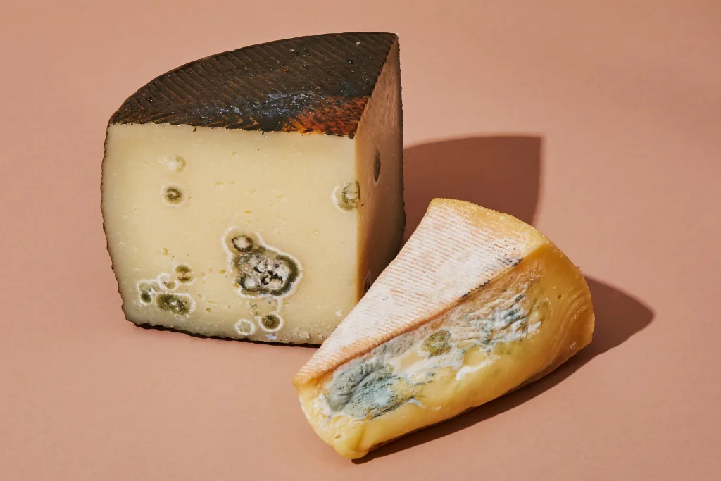 moldy cheese 1674743885