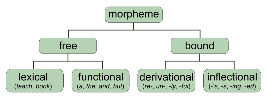 All About Bound Morphemes Simplified