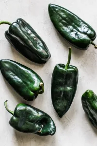 poblano pepper 1673098067