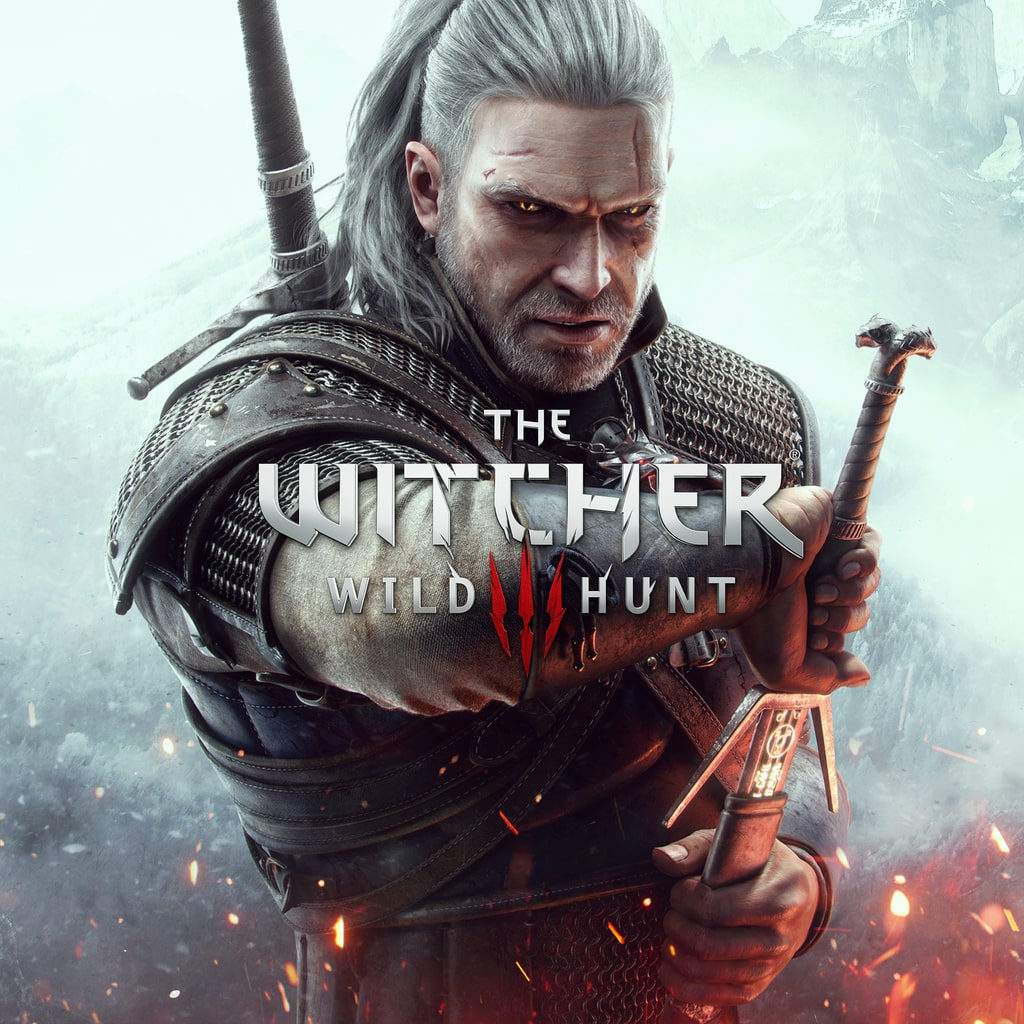 the witcher 1673889510