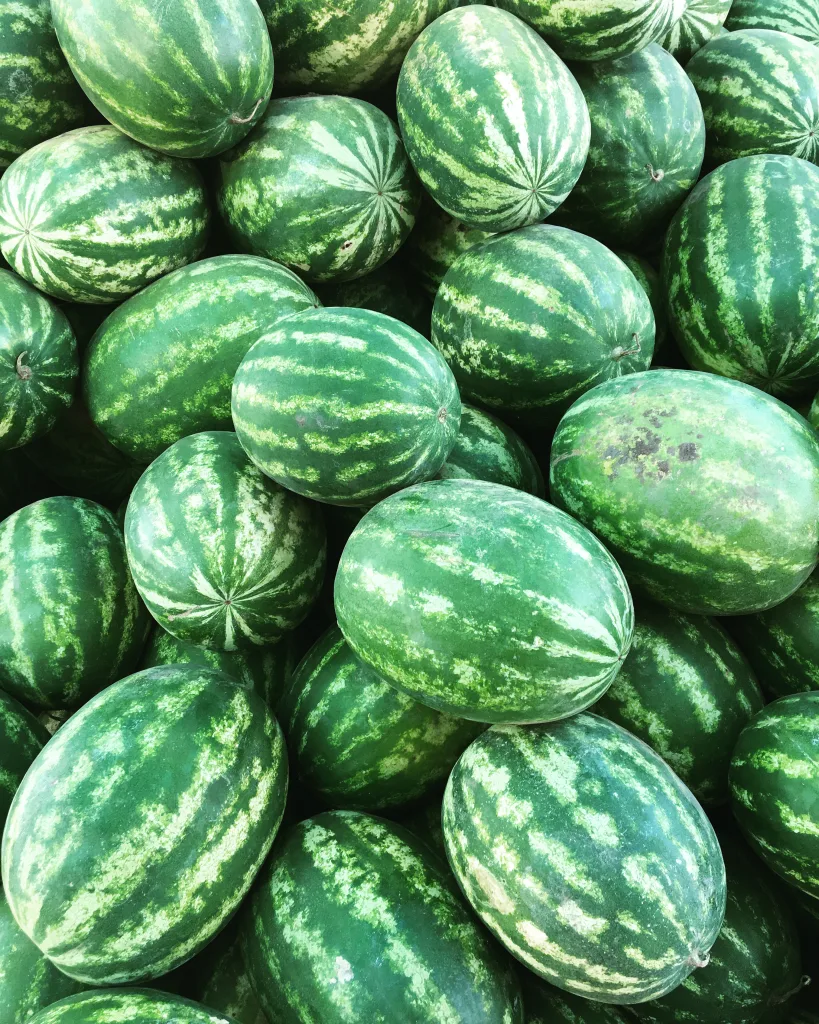 watermelon 1672765758