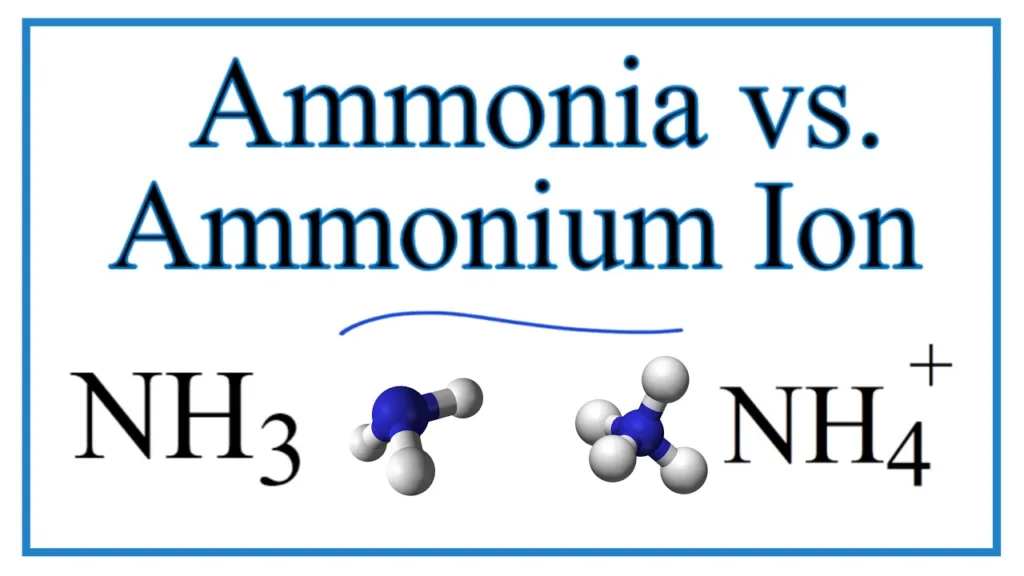 ammonium ion 1675260955