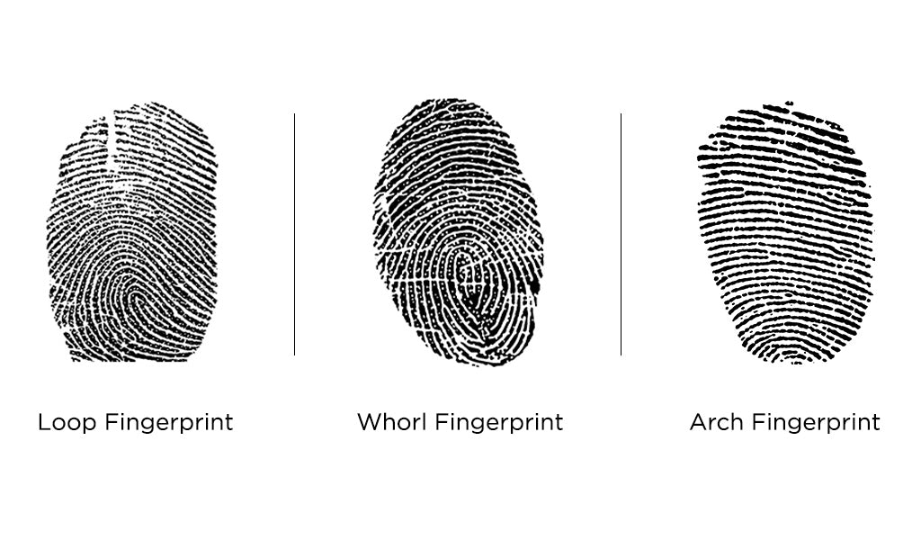 arch rarest fingerprint 1676452706
