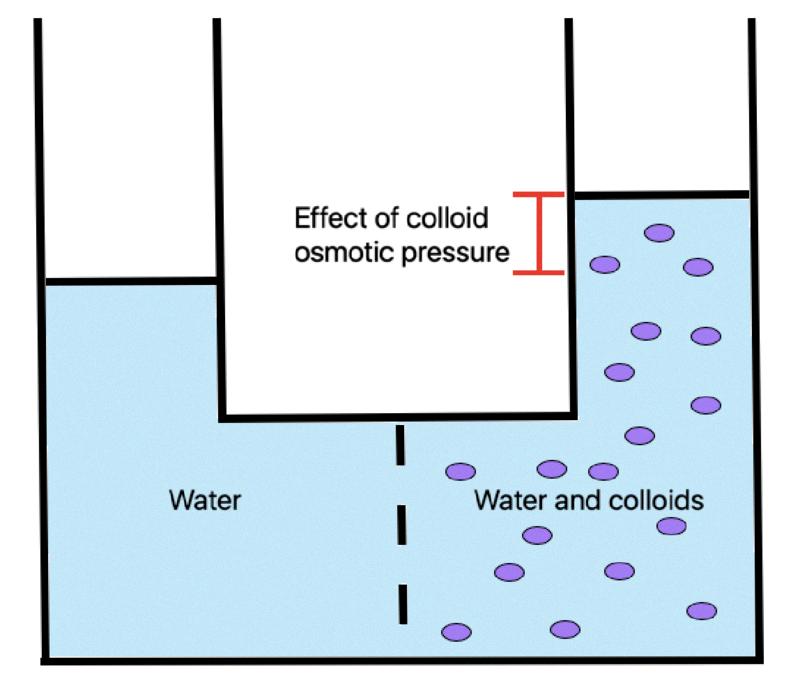 Exploring The Unique Properties of Colloid Milk