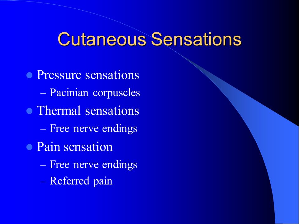 cutaneous sensation 1676026460