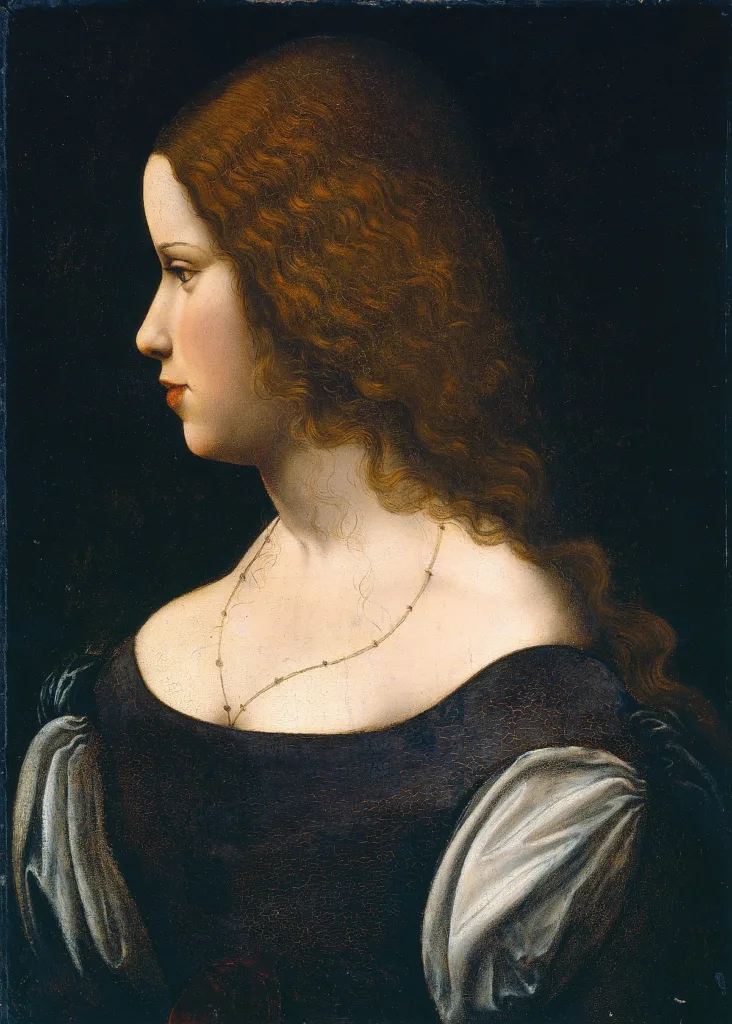 leonardo da vinci wife 1676623571