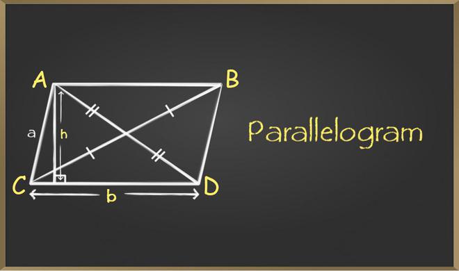 parallelogram 1676536443