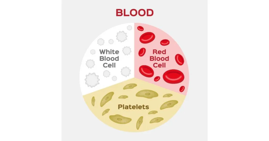 white cell red cell platelet 1676041577