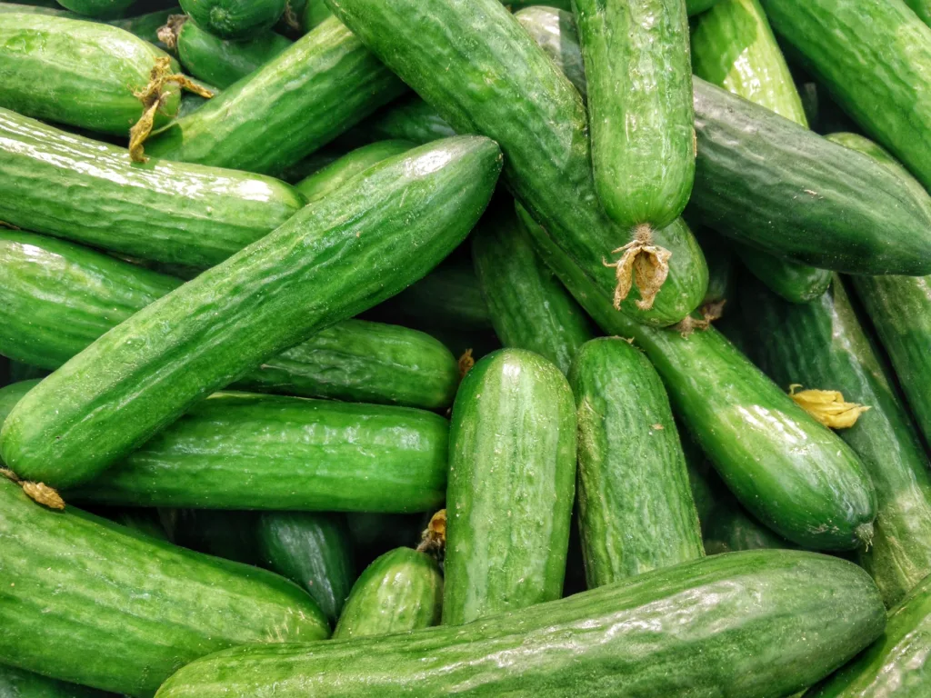 cucumber 1678437763