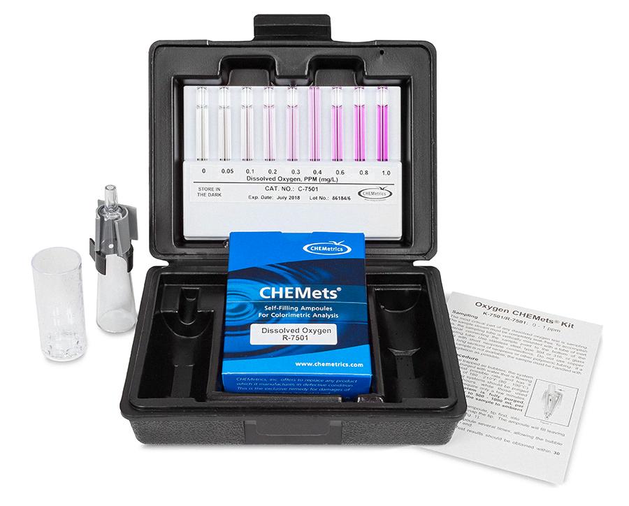 The World Through A Clam's Perspective