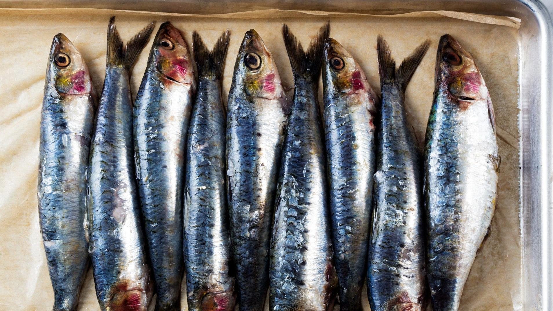 Sardines Are Edible to The Bones