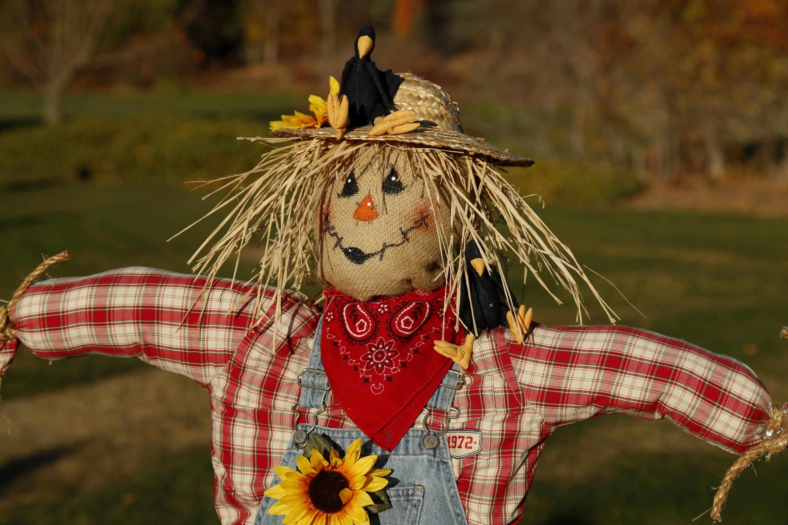 do scarecrows work