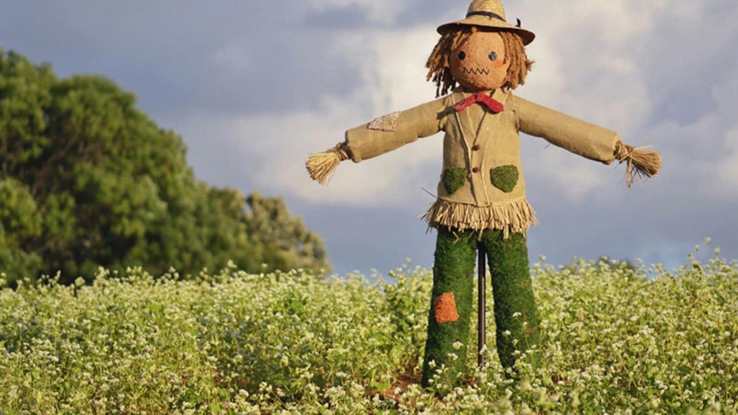 do scarecrows work