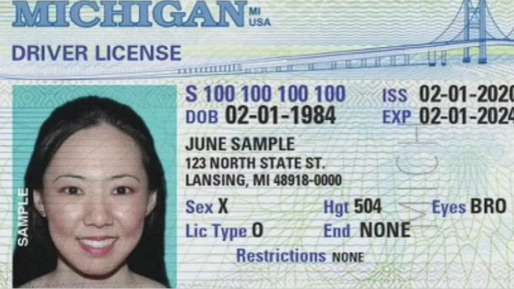 document discriminator drivers license 1678696192