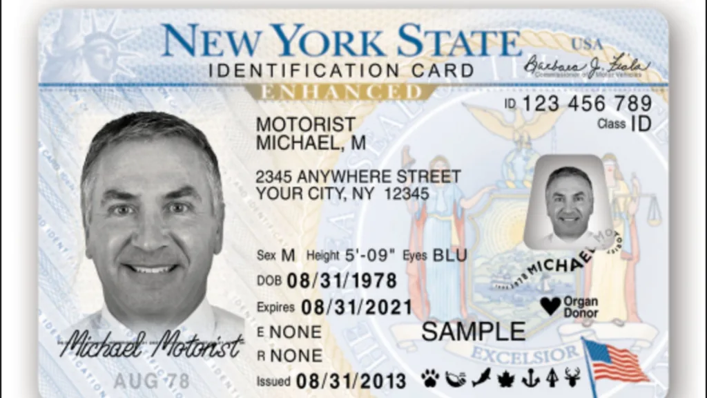 The Significance of Your ID's Document Number