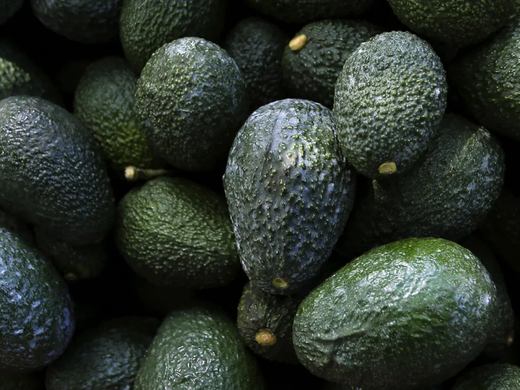 The Role of Avocado in Bowel Movements Explained