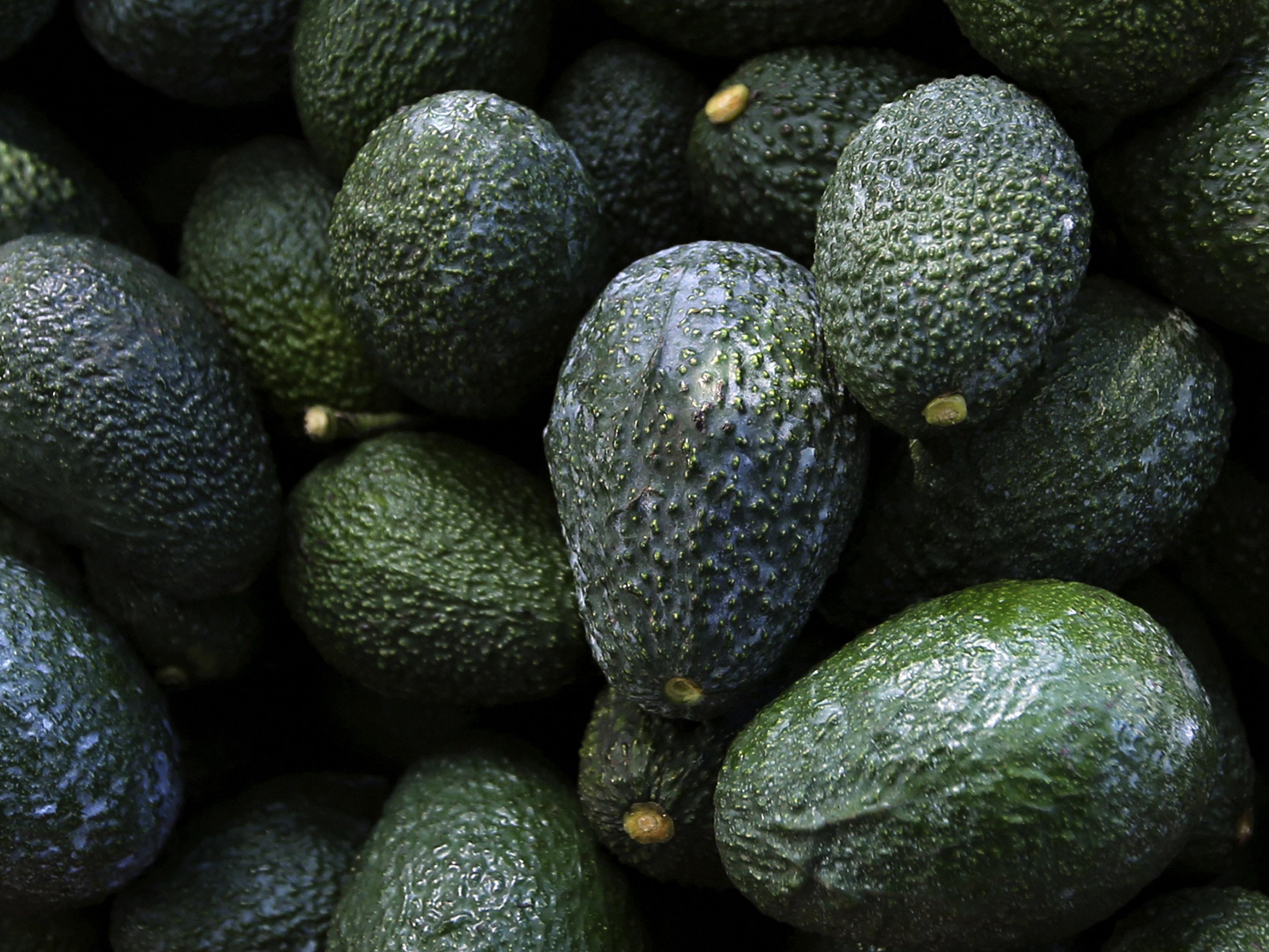 The Role Of Avocado In Bowel Movements Explained