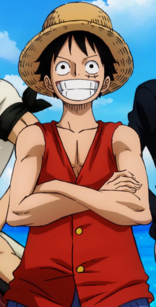 does luffy find the one piece