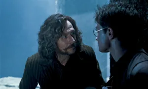 does sirius black die 1 1