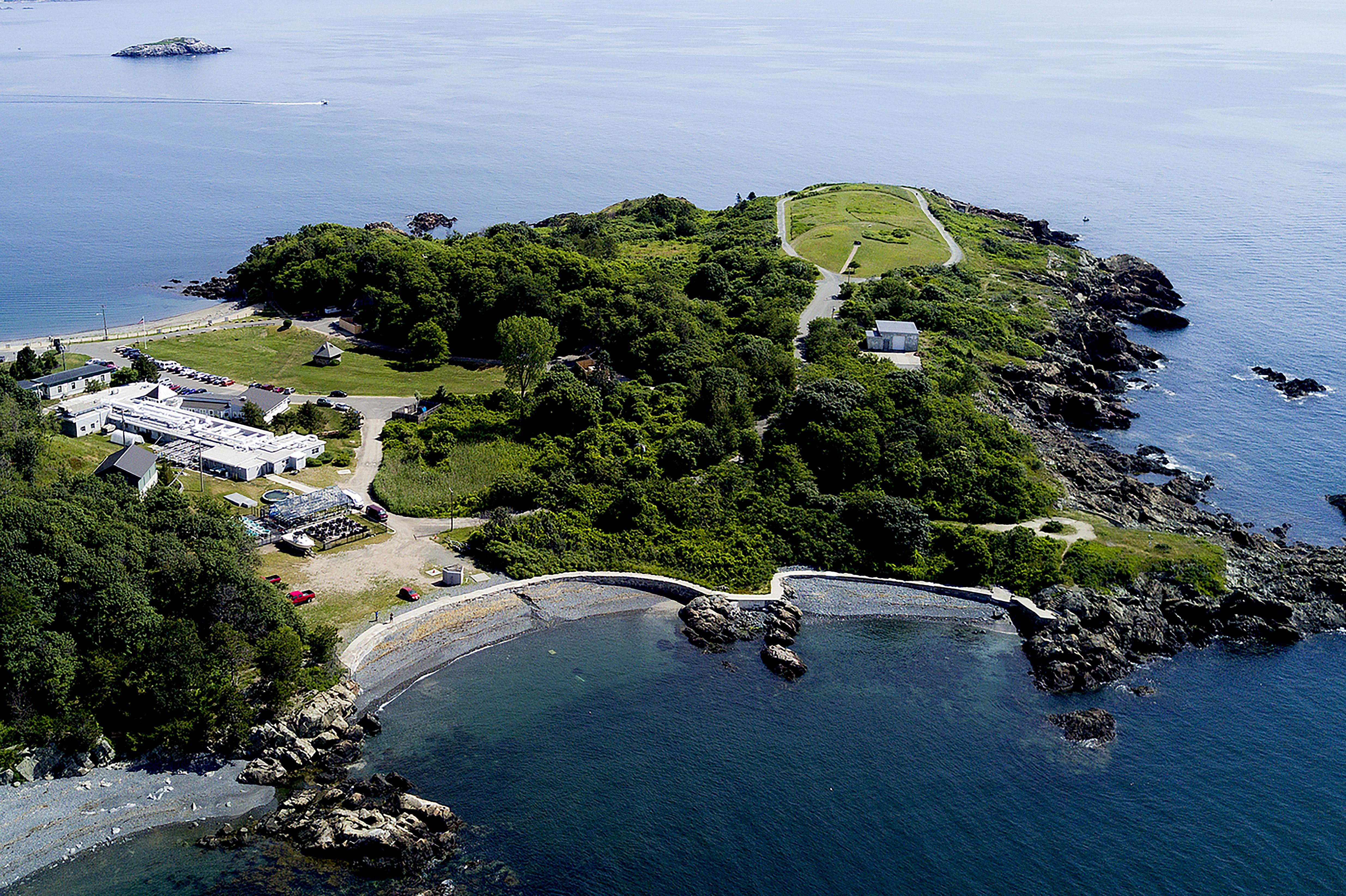 doggie beach nahant