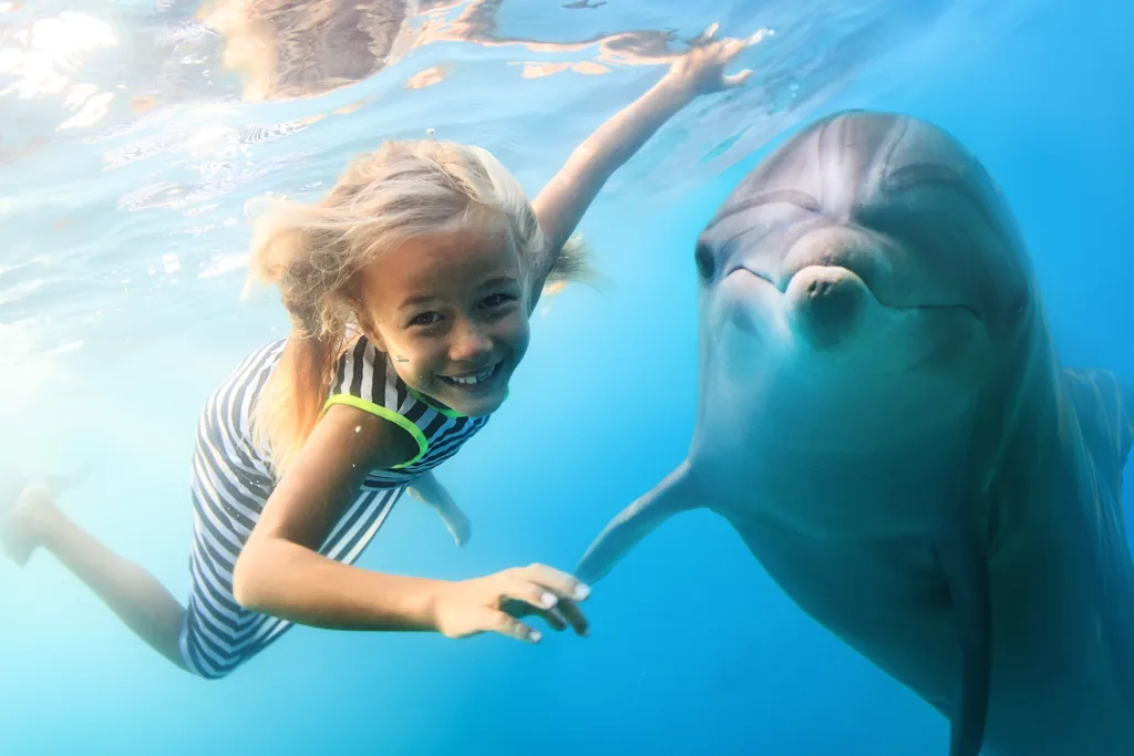 dolphins and humans 1678440075
