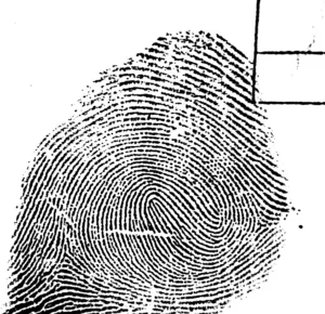 double loop whorl fingerprint 1679819707