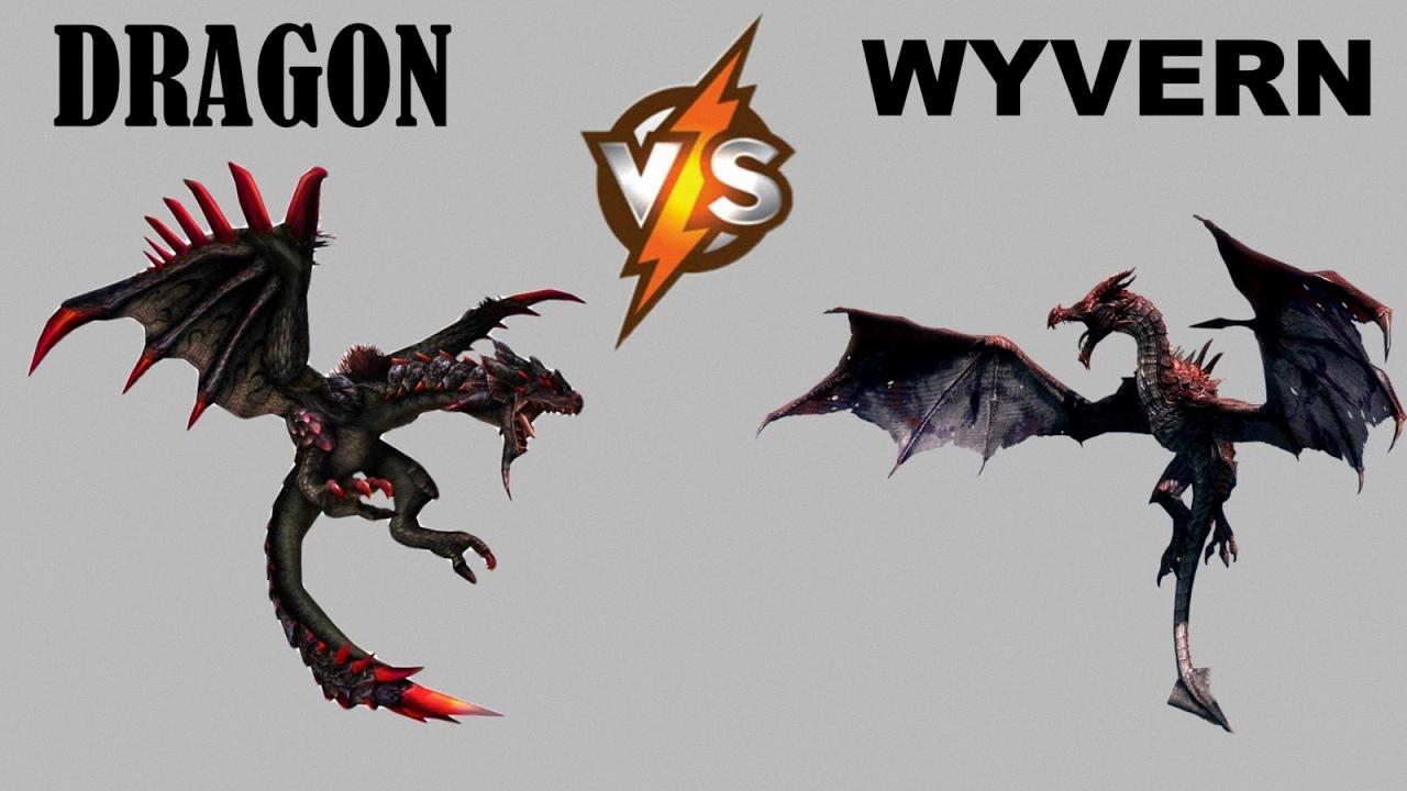 dragon vs wyvern