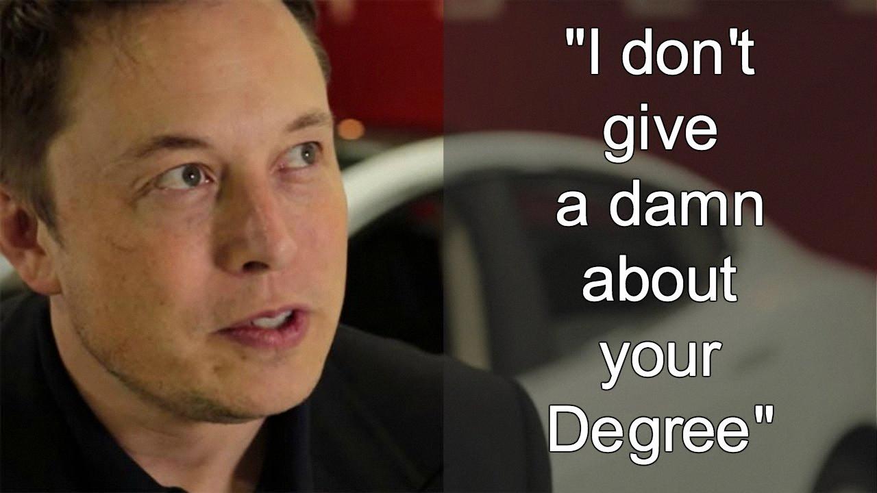 elon musk degree