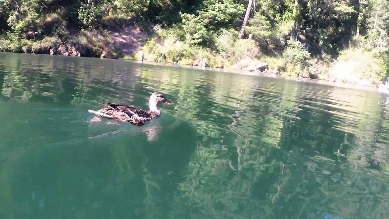 Summer of Fun Boating, Fishing and Swimming in the Estacada Lake