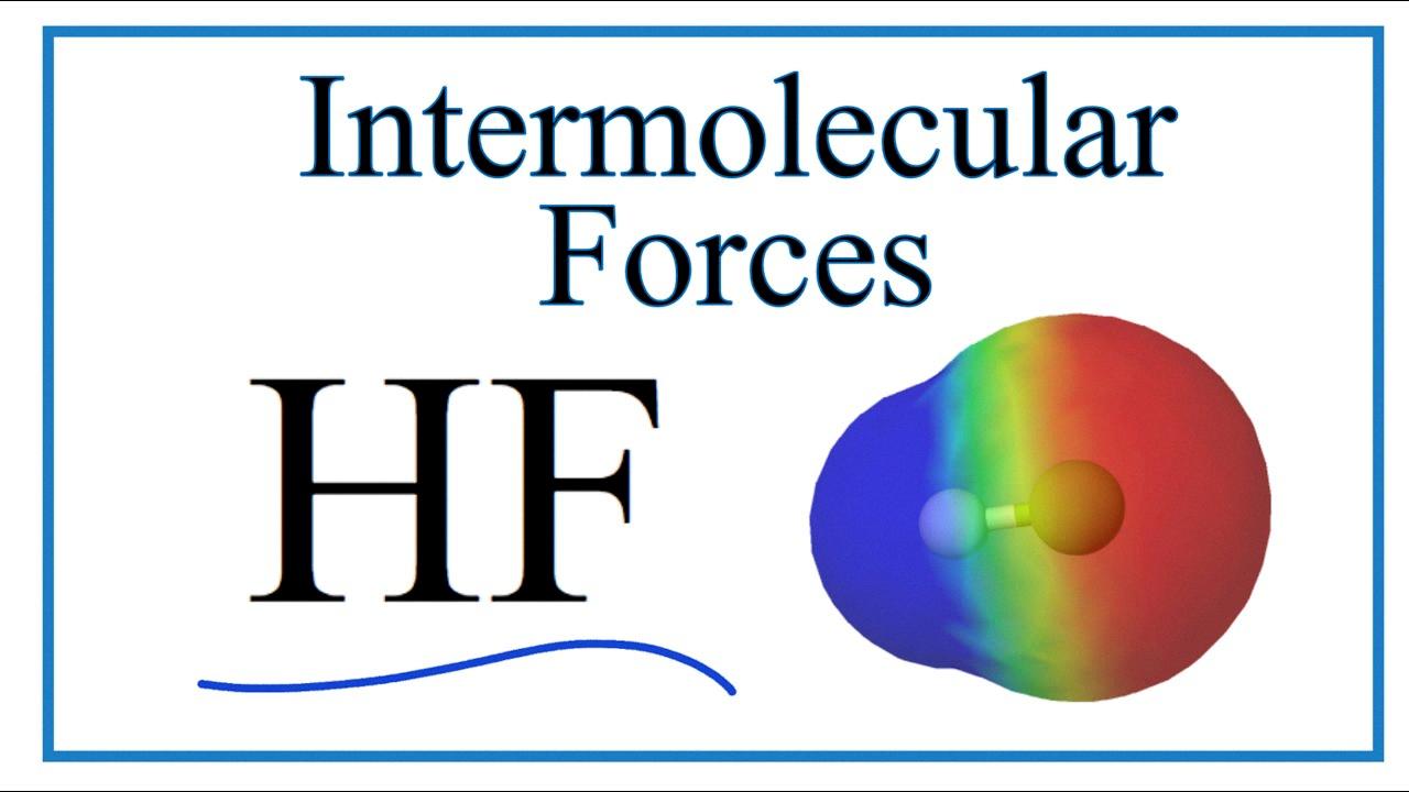 f2 intermolecular forces present