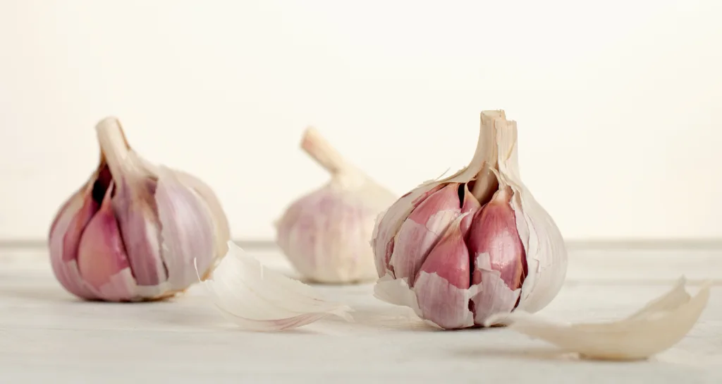 garlic 1679125183