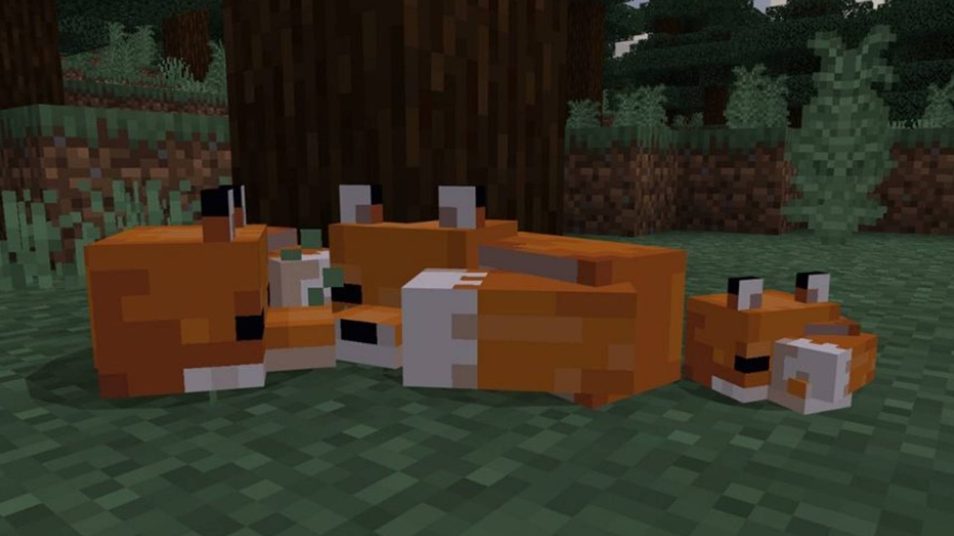 A Guide To Obtaining a Fox's Loyalty in Minecraft