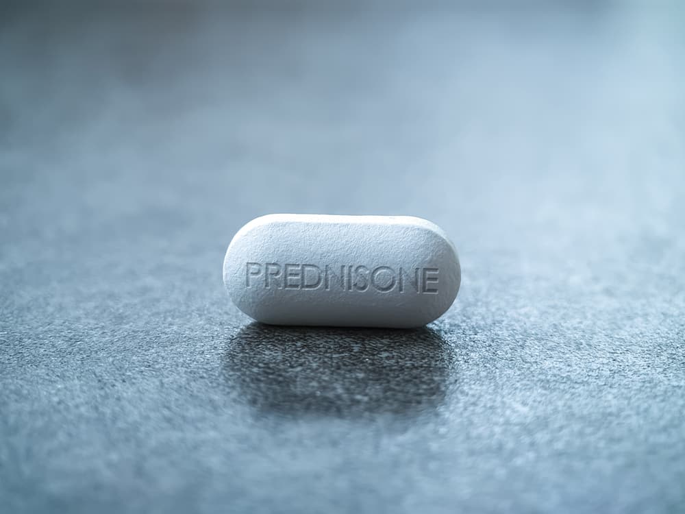 prednisone 1679747141