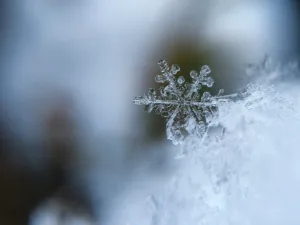 snow 1679069515