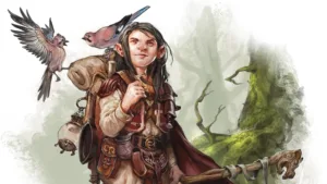 Druid Dnd 5e 1682320332