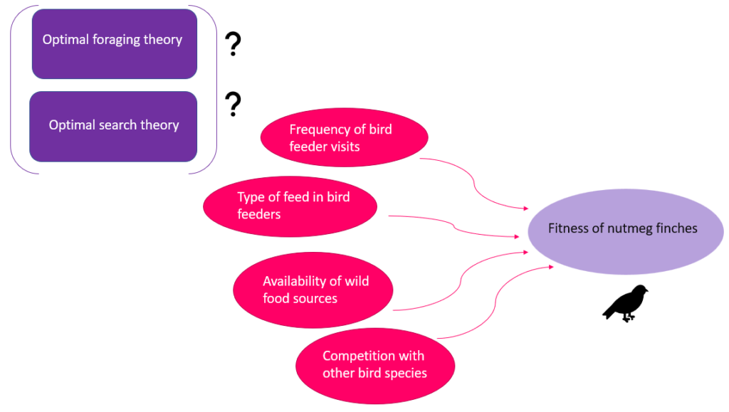 Theoretical Research 1680327857