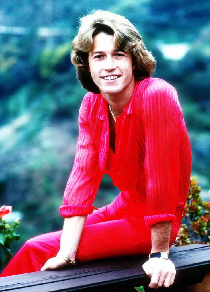 andy gibb 1681613307