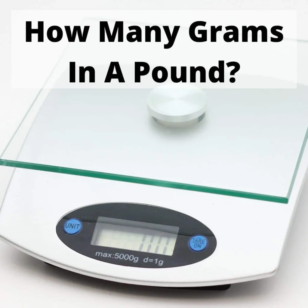 convert pounds to grams 1681003520