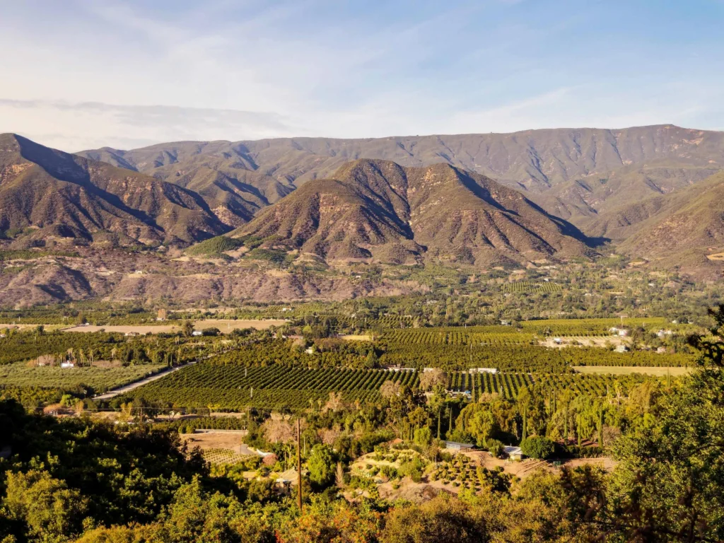 Famous Faces of Ojai From Larry Linville to AList Celebrities