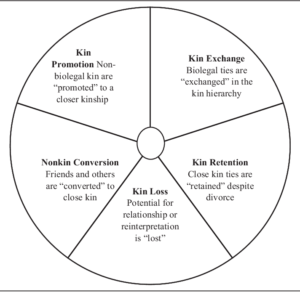 fictive kin 1680363976