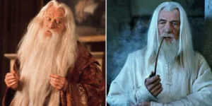 gandalf harry potter 1 1