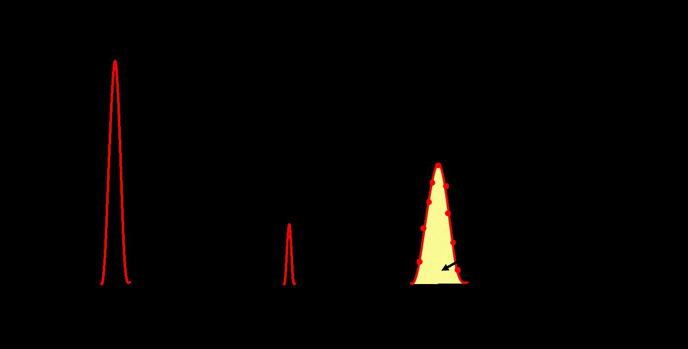 Identifying the Elution Order in Gas Liquid Chromatography