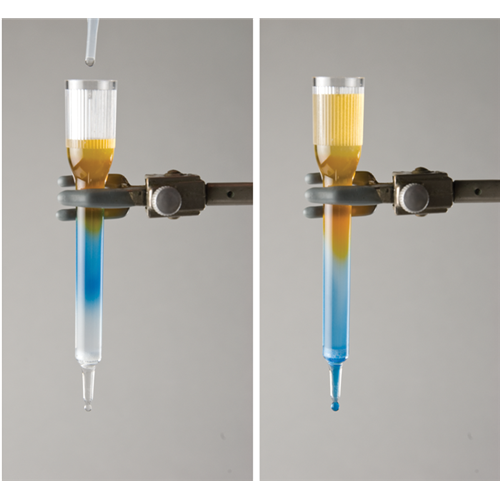 gel filtration chromatography 1680892364